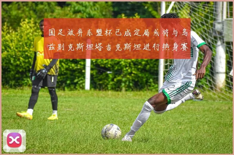 国足放弃东盟杯已成定局或将与乌兹别克斯坦塔吉克斯坦进行热身赛