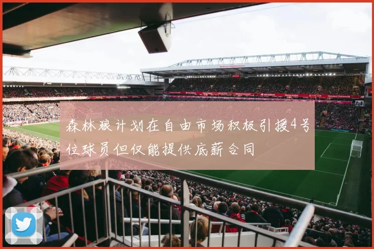 森林狼计划在自由市场积极引援4号位球员但仅能提供底薪合同