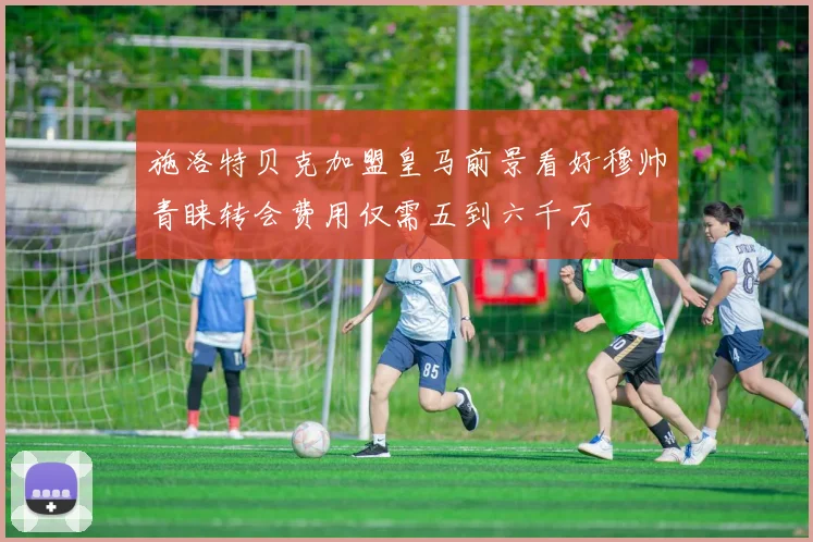 施洛特贝克加盟皇马前景看好穆帅青睐转会费用仅需五到六千万